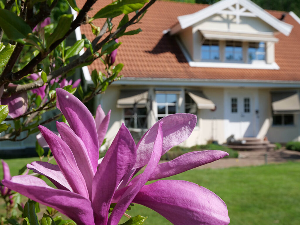 bnb magnolia