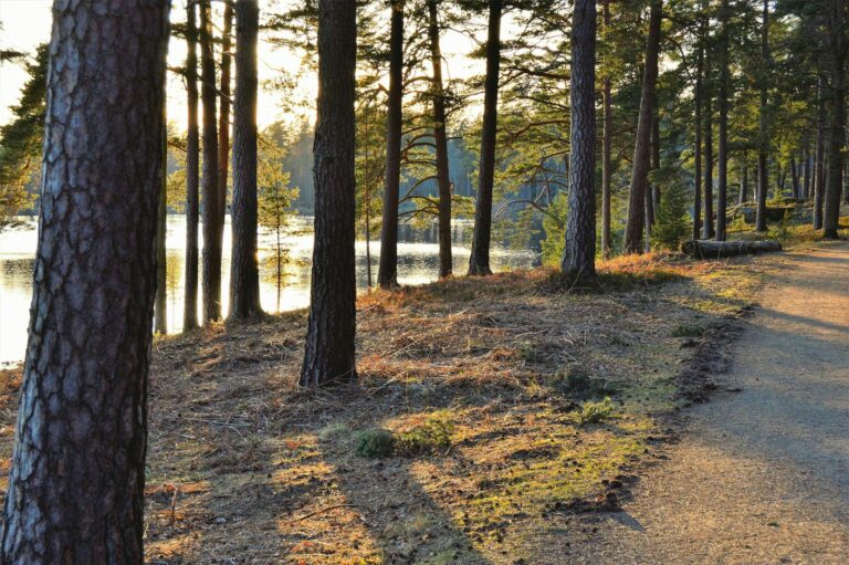 natur